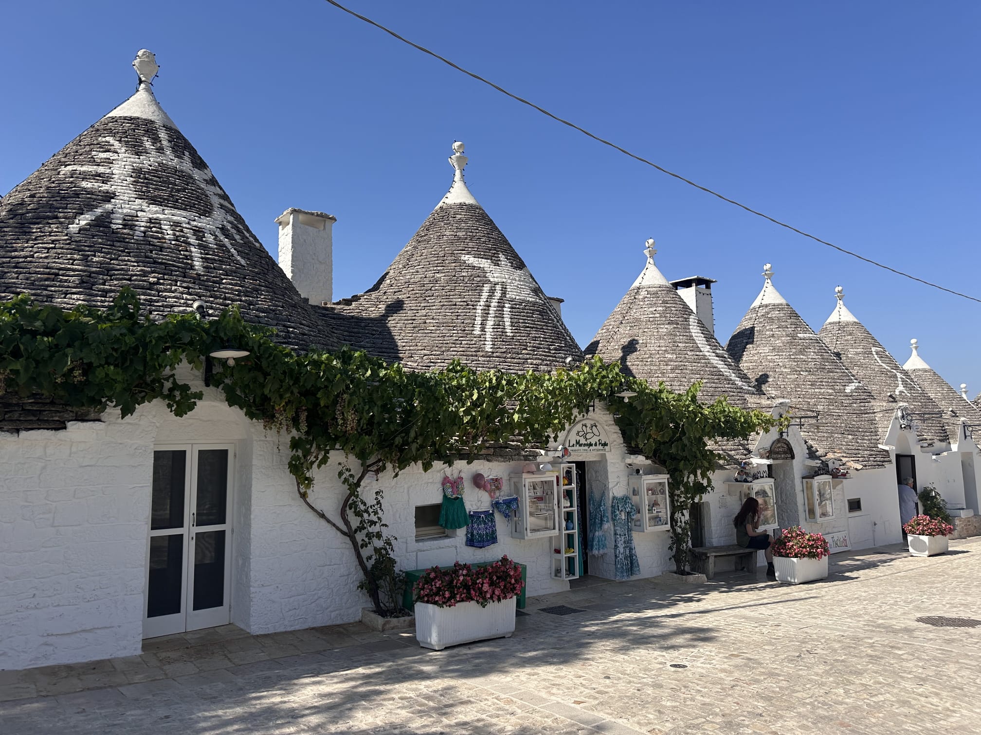 WhatsApp Image 2025-10-10 at 19.57.14-2