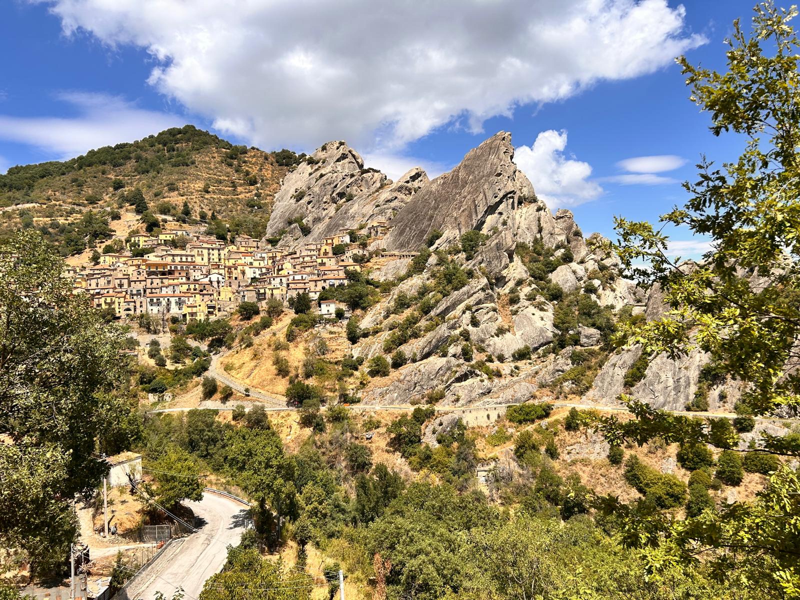 WhatsApp Image 2025-10-10 at 19.57.17-3