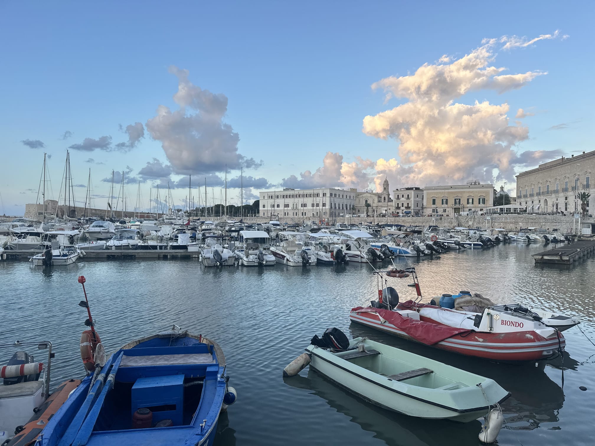 WhatsApp Image 2025-10-10 at 19.57.19-2