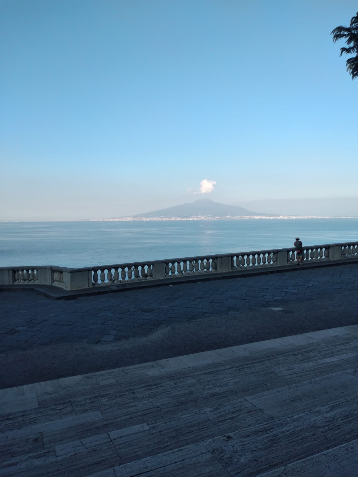 WhatsApp Image 2026-01-28 at 13.29.535